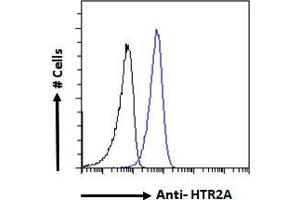 ABIN263202 Flow cytometric analysis of paraformaldehyde fixed A549 cells (blue line), permeabilized with 0. (HTR2A Antikörper  (Internal Region))