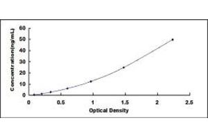 Typical standard curve (FKBP1B ELISA Kit)