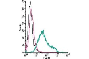 Cell surface detection of TREM2 by direct flow cytometry in live intact mouse BV-2 microglia cells: (black line) Cells. (TREM2 Antikörper  (Extracellular, N-Term) (PE))