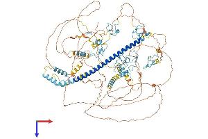 ST18 Protein (AA 1-1045) (His tag)