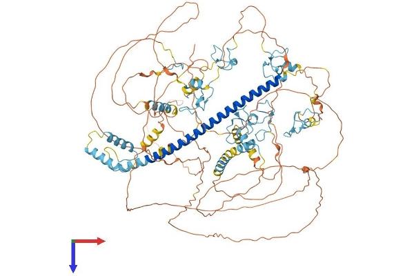 ST18 Protein (AA 1-1045) (His tag)