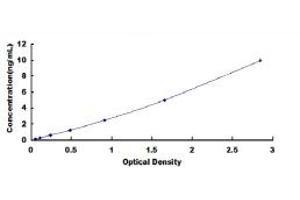 Typical standard curve (CLMP ELISA Kit)