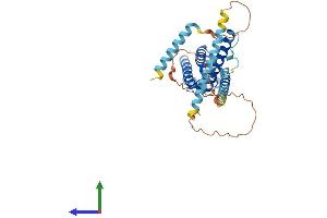 Protein Structure (PS) image for Coiled-Coil Domain Containing 104 (CCDC104) (AA 1-343) protein (His tag) (ABIN7559172)