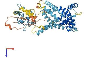 SLC25A25 Protein (AA 1-469) (His tag)