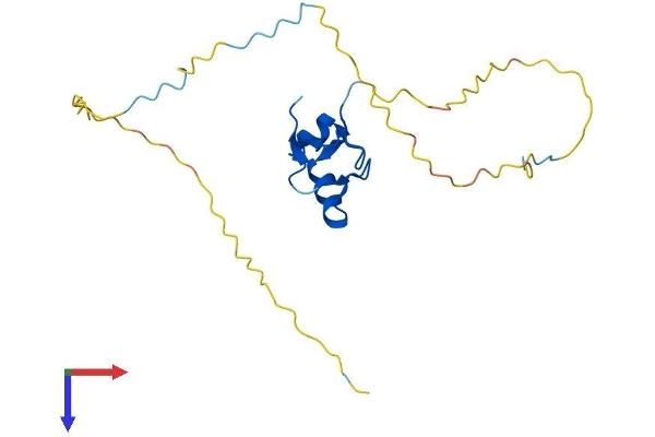 RNF4 Protein (AA 1-194) (His tag)