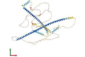 Protein Structure (PS) image for Huntingtin Associated Protein 1 (HAP1) (AA 1-628) protein (His tag) (ABIN7562356)