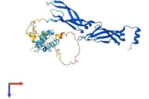 DNAJB5 Protein (AA 1-348) (His tag)