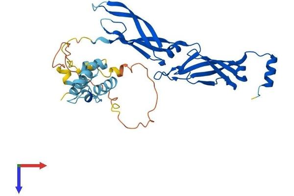 DNAJB5 Protein (AA 1-348) (His tag)