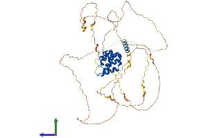 AlphaFold protein structure predicition of Mouse Recombinant Mavs Protein, UniprotID Q8VCF0 (MAVS Protein (AA 1-503) (His tag))