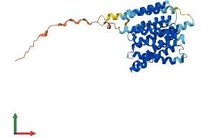 AlphaFold protein structure predicition of Human Recombinant SLC35G5 Protein, UniprotID Q96KT7 (AMAC1L2 Protein (AA 1-338) (His tag))