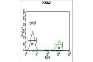 Flow Cytometry (FACS) image for anti-Alcohol Dehydrogenase 7 (Class IV), mu Or sigma Polypeptide (ADH7) (AA 318-346), (C-Term) antibody (ABIN653658)