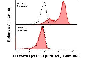 Anti-Hu CD3 zeta (pY111) purified antibody (clone EM-55) works in Flow Cytometry application Analysis of the antibody staining was performed on Jurkat cells treated or untreated with pervanadate (PV) prior to the fixation and permeabilization of cell suspension with cold methanol.