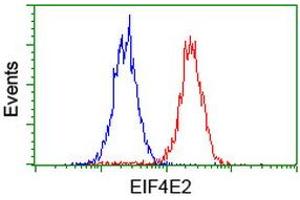 Flow cytometric Analysis of Hela cells, using anti-EIF4E2 antibody (ABIN2454230), (Red), compared to a nonspecific negative control antibody, (Blue). (EIF4E2 Antikörper)