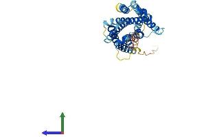 AlphaFold protein structure predicition of Human Recombinant MRGPRX1 Protein, UniprotID Q96LB2