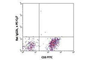 Flow Cytometry (FACS) image for anti-Chemokine (C-X3-C Motif) Receptor 1 (CX3CR1) antibody (PE-Cy7) (ABIN2659341)