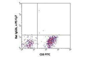 Flow Cytometry (FACS) image for anti-Chemokine (C-X3-C Motif) Receptor 1 (CX3CR1) antibody (PE-Cy7) (ABIN2659341) (CX3CR1 Antikörper  (PE-Cy7))