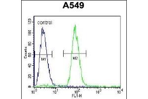 SOX3 Antibody (Center ) (ABIN656009 and ABIN2845385) flow cytometric analysis of A549 cells (right histogram) compared to a negative control cell (left histogram). (SOX3 Antikörper  (AA 189-218))