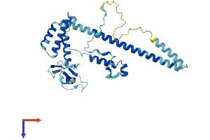 MNAT1 Protein (AA 1-309) (His tag)