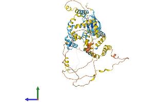 Protein Structure (PS) image for Ubiquilin 4 (UBQLN4) (AA 1-601) protein (His tag) (ABIN7555928)
