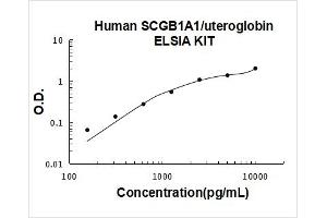 Secretoglobin, Family 1A, Member 1 (Uteroglobin) (SCGB1A1) ELISA Kit