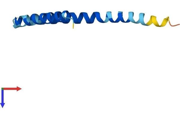 Serine Palmitoyltransferase, Small Subunit B (SPTSSB) (AA 1-76) protein (Fc Tag)