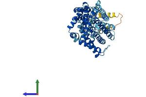 Protein Structure (PS) image for Solute Carrier Family 7 (Cationic Amino Acid Transporter, Y+ System), Member 5 (SLC7A5) (AA 1-507) protein (His tag) (ABIN7554408)