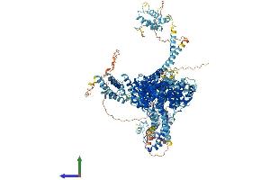Protein Structure (PS) image for Non-SMC Condensin I Complex, Subunit D2 (NCAPD2) (AA 1-1401) protein (His tag) (ABIN7553476)