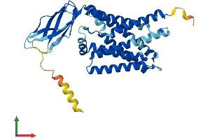 Protein Structure (PS) image for Cystinosis, Nephropathic (CTNS) (AA 1-367) protein (His tag) (ABIN7556505)