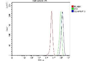 Flow Cytometry analysis of RT4 cells using anti-ZPI/SERPINA10 antibody (ABIN7599905).