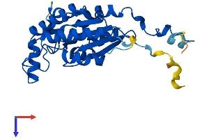 IAH1 Protein (AA 1-248) (His tag)