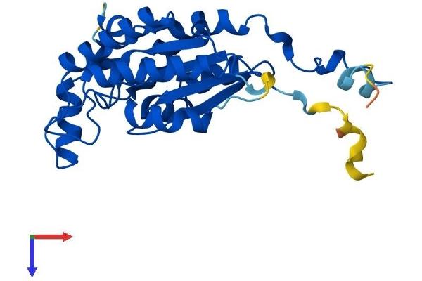 IAH1 Protein (AA 1-248) (His tag)