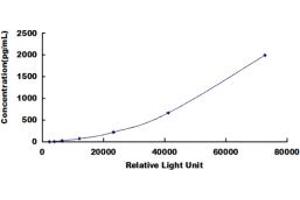 ELISA image for Transforming Growth Factor, beta 1 (TGFB1) CLIA Kit (ABIN491825)