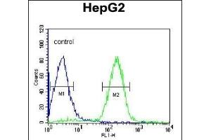 ORM1 Antibody (C-term) (ABIN390444 and ABIN2840823) flow cytometric analysis of HepG2 cells (right histogram) compared to a negative control cell (left histogram). (ORM1 Antikörper  (C-Term))