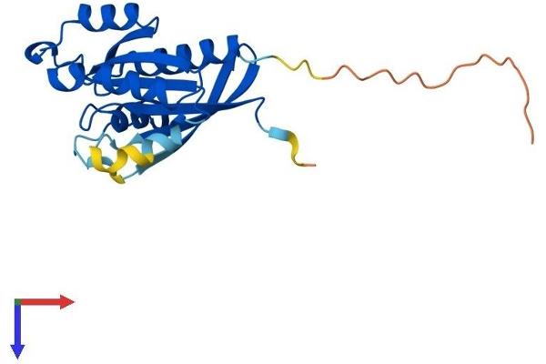 RAB10 Protein (AA 1-200) (His tag)
