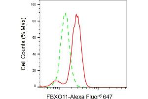 Flow cytometric analysis of FBXO11 expression in HeLa cells using FBXO11 antibody ( (ABIN7798553), 1:2,000). (FBXO11 Antikörper)