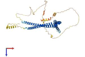 SH3BP5 Protein (AA 1-463) (His tag)