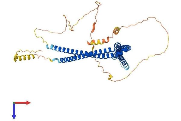 SH3BP5 Protein (AA 1-463) (His tag)