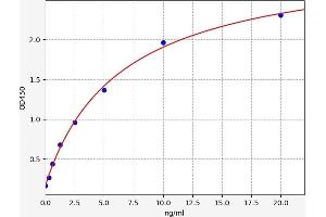 Typical standard curve
