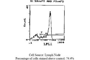 Rat anti CD62L (L-Selectin, LECAM-1) MEL-14 (L-Selectin Antikörper  (FITC))