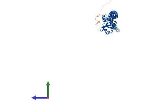 Protein Structure (PS) image for CD207 Molecule, Langerin (CD207) (AA 1-331) protein (His tag) (ABIN7559788)