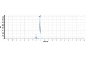 The purity of Anti- Human TSLP( Tezepelumab) is 98. (Rekombinanter TSLP (Tezepelumab Biosimilar) Antikörper)