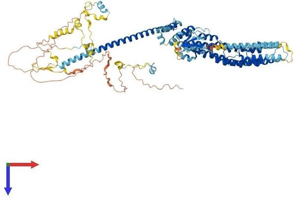 TFIP11 Protein (AA 1-837) (His tag)