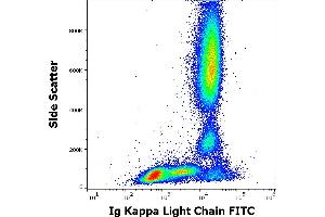 Flow cytometry surface staining pattern of human peripheral whole blood stained using anti-human Ig kappa light chain (A8B5) FITC antibody (20 μL reagent / 100 μL of peripheral whole blood). (kappa Light Chain Antikörper  (FITC))
