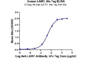 ELISA image for Leukocyte-Associated Immunoglobulin-Like Receptor 1 (LAIR1) (AA 22-163) protein (His-Avi Tag) (ABIN7275118)