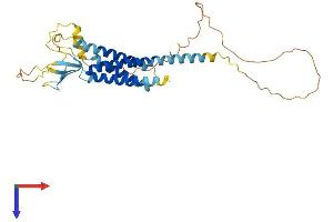 CACNG3 Protein (AA 1-315) (His tag)
