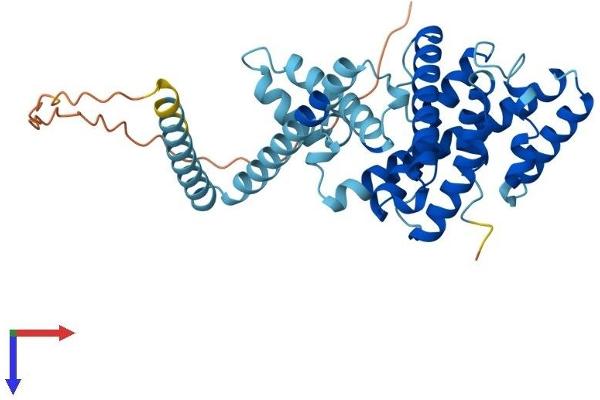 LETMD1 Protein (AA 1-360) (His tag)