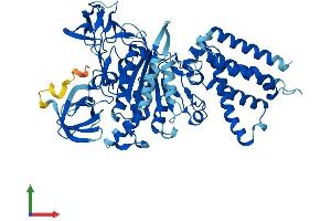 Protein Structure (PS) image for ATPase, H+ Transporting, Lysosomal 70kDa, V1 Subunit A (ATP6V1A) (AA 1-617) protein (His tag) (ABIN7545043)