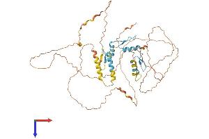 KLF11 Protein (AA 1-512) (His tag)