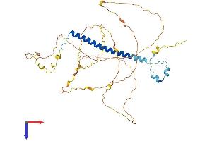 CCDC86 Protein (AA 1-426) (His tag)