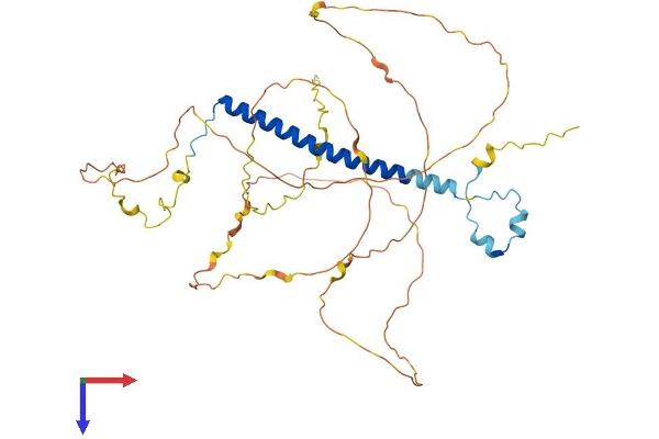 CCDC86 Protein (AA 1-426) (His tag)